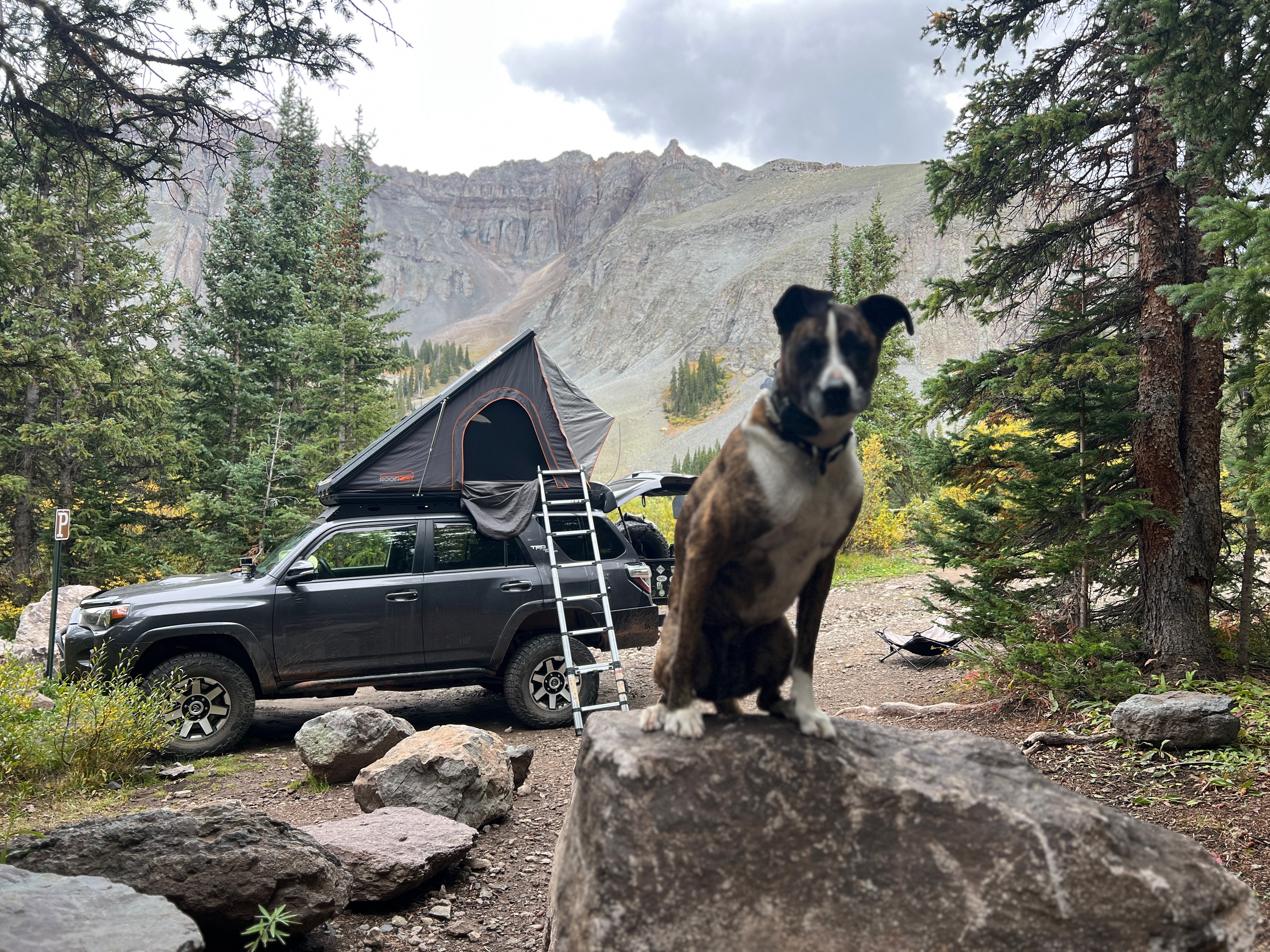 Bagel sitting on a rock at a mountain campsite with a vehicle, rooftop tent, trees, and mountain landscape behind him